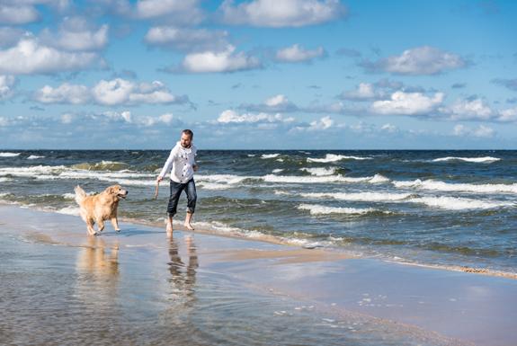 Strandwandeling met hond | Nautisch Centrum Scheveningen