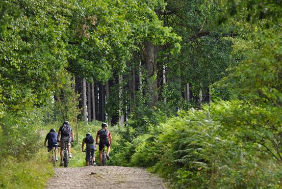 Mountainbiken in de natuur | Nautisch Centrum Scheveningen