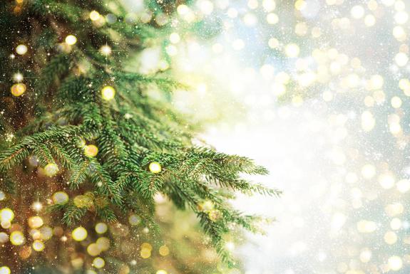 Kerstvakantie | Nautisch Centrum Scheveningen